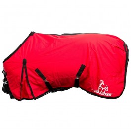 Reinigung Reitsportartikel