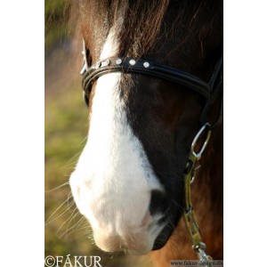 Nordic Horse Nasenriemen englisch mit 5 Steinchen weiß silber
