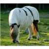 Boett® Ekzemdecke "Sweet Itch Blanket" IceBlue 5, 140cm