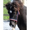 Nordic Horse Halfter Island unterlegt