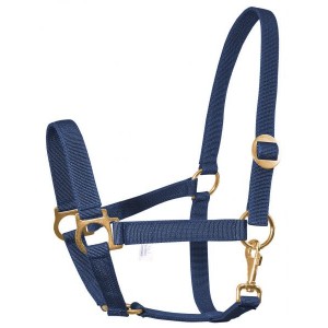 Busse Halfter Classic navy GR.VB