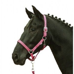 HKM Halfter Stars Softice pink P (Pony)