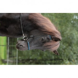Nordic Horse Kopfstück mit Croclack schwarz/silber