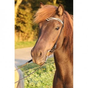 Nordic Horse Kopfstück Overside 1