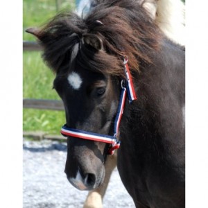 Nordic Horse Halfter Island unterlegt