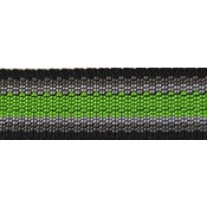 EQuest Halfter Regular vernickelt green flash Cob