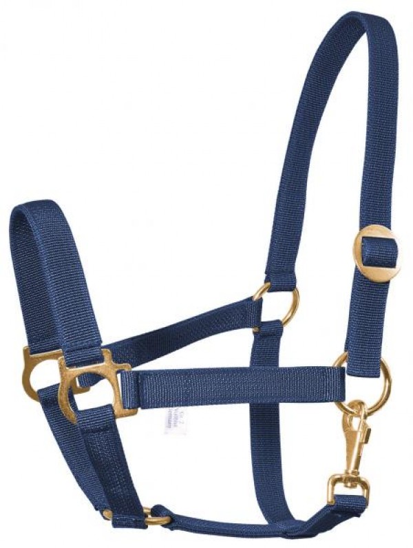 Busse Halfter Classic navy GR.VB