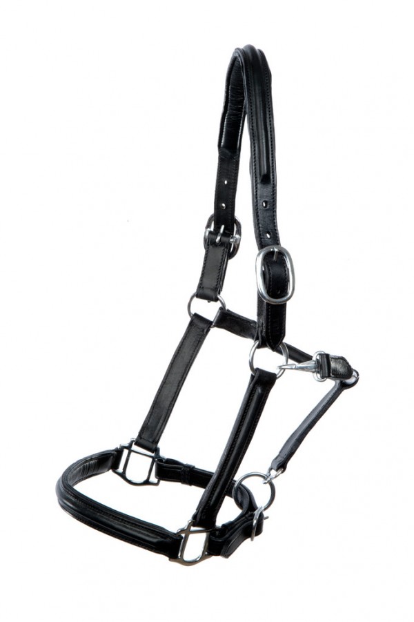 Hilbar Lederhalfter halbrund schwarz Cob
