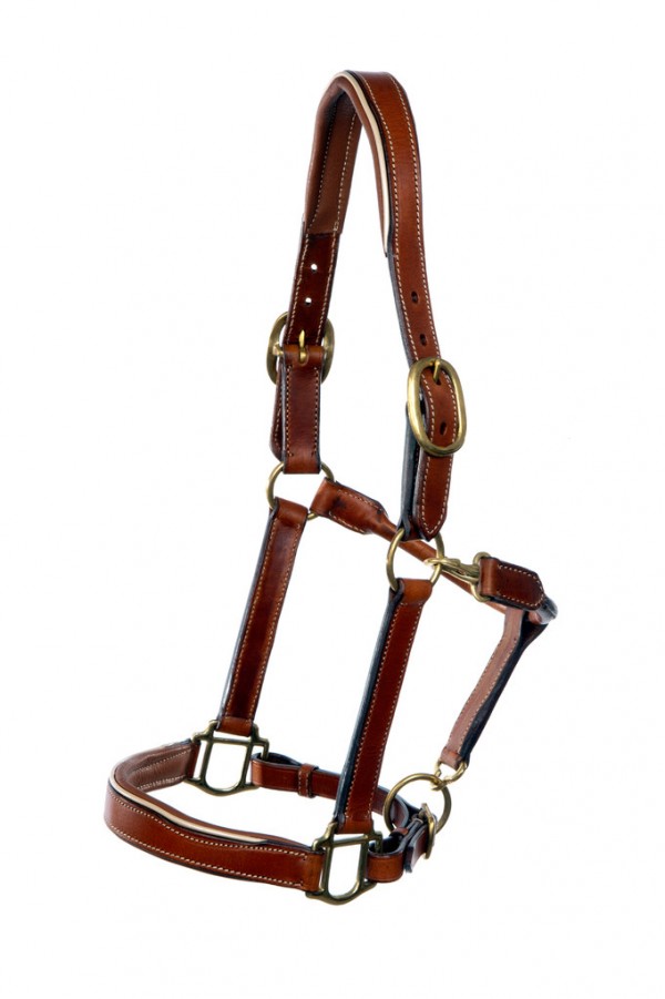 Hilbar Lederhalfter "hell-braun mit beiger Paspel" Cob
