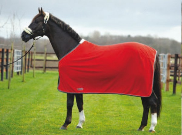 EQuest Abschwitzdecke Alpha Fleece Regular rot 125cm