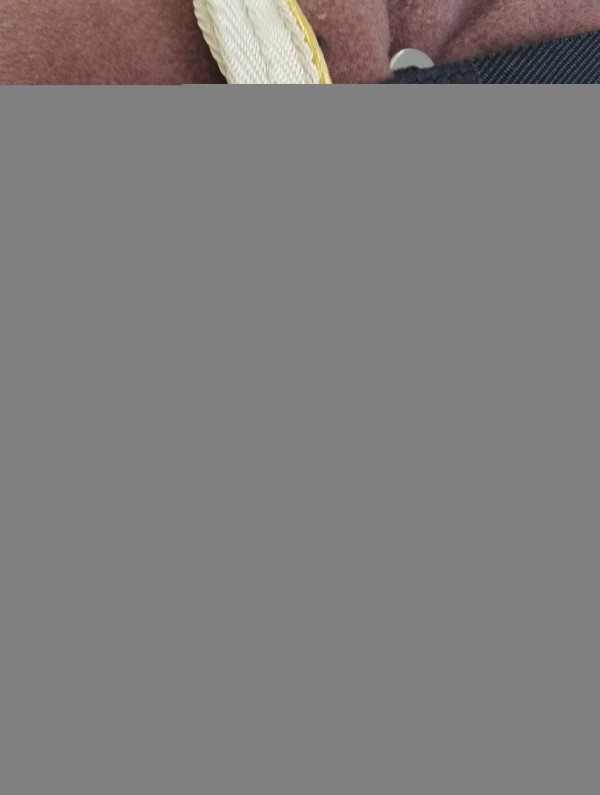 HKM Abschwitzdecke braun/beige/gold 135cm
