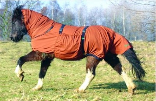 Boett® Ekzemdecke "Sweet Itch Blanket" fuchs 5, 140cm