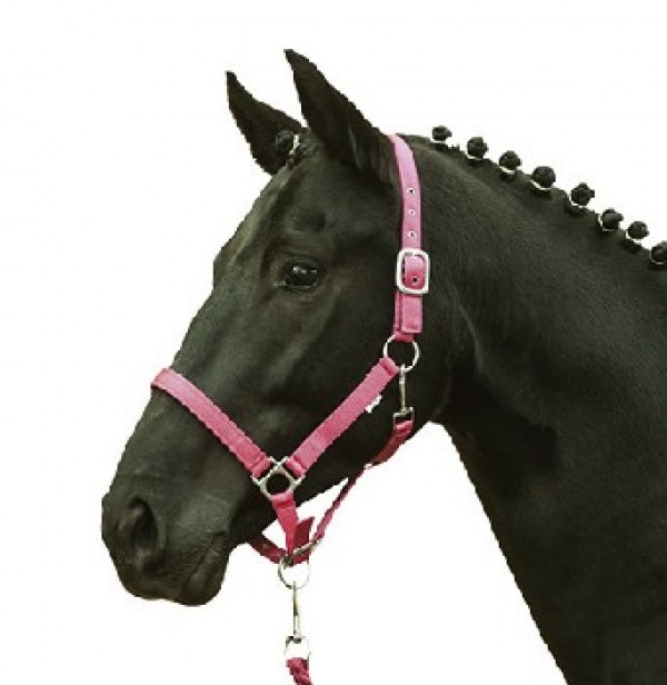 HKM Halfter Stars Softice pink P (Pony)
