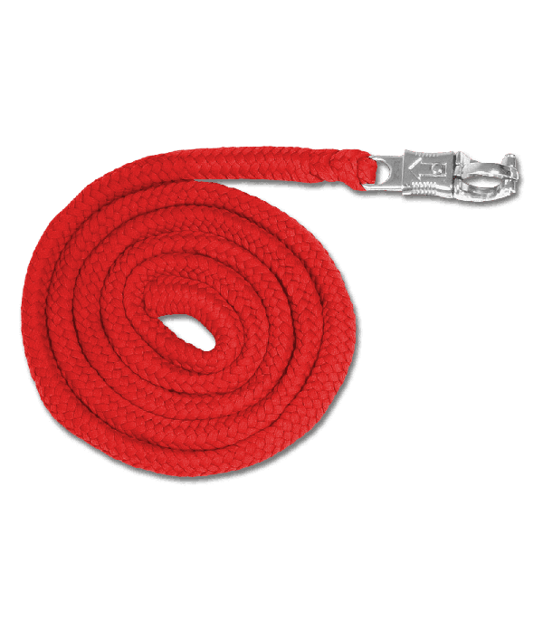 Waldhausen Anbindestrick Economic Panikhaken rot 200 cm