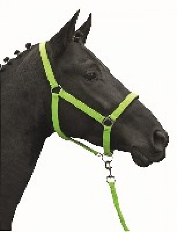 HKM Halfter Stars Softice neongrün VB